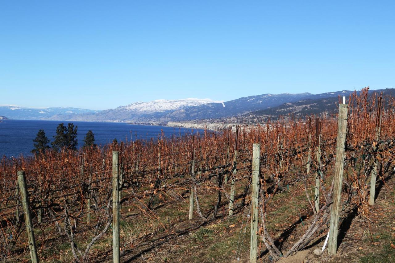 Sunshine And Wine Loft Hotell Penticton Exteriör bild